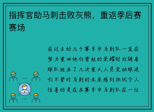 指挥官助马刺击败灰熊，重返季后赛赛场